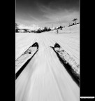 Fotocamera tra le gambe a lambire la neve a velocit piuttosto sostenuta....

Canon 10D + 12-24mm
1/180 sec.
f22
200 ISO
12mm.