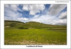 Foto scattata alla fioritura di Castelluccio di Norcia con la Canon EOS 40D + Sigma 10-20mm