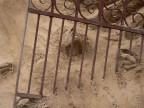 particolare sculture di sabbia: l'Inferno di Dante -Jesolo-
