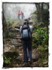 Sentiero nella foresta tropicale di Cilaos all'isola di Runion
Richo Caplio GX100
Lavorata in PS