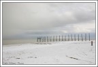 Isola di Texel
Canon 5D + 24/105