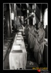 Shangai. China. Monaci tibetani in preghiera.
