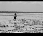 nell'isola di Zanzibar,come credo anche in altri posti si raccolgono le alghe portate dall'alta marea per poi issicarle e venderle anche per scopi medicinali ........... per quello che mi hanno detto ............. saluti luca.