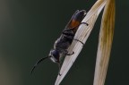 180mm 
f16 
1/30
iso 200
cavalletto