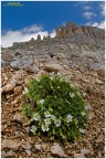 Dolomiti, Val di Fassa,
M. Latemar, 2009

D300, 15mm fisheye, 2 flash, hand free




Ciao!!!

Claudio Pia