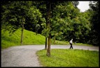 nella vita non importa dove arrivi ma la strada che percorri