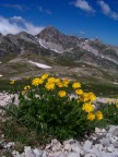 Dopo avervi angosciato con foto panoramiche proviamo con una "classica", ho provato ad applicare la maschera di contrasto secondo voi  esagerata?

Dati scatto:
Kodak Z8612IS
ISO 64
Esposizione 1/400 f 8
lunghezza focale equivalente ad un 35 mm 

Ciao