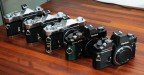 Nikon D300, Nikkor Afs VR 16-85@34mm, f5.6, 1/250, 400 ISO