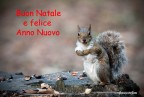 Sinceri Auguri a tutti Voi...
Buon Natale e un sereno Anno Nuovo
Giancarlo