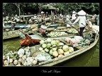 Lungo gli innumerevoli canali del delta del Mekong e sulle rive del lago Tonle Sap si incontrano imbarcazioni, case, templi e mercati che letteralmente navigano sui corsi dacqua.
Gli abitanti della zona, in perenne lotta con le forze della natura e con le stagioni, ottengono in contropartita raccolti di riso fra i pi abbondanti al mondo.