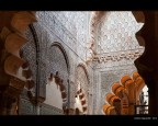 D300 + 16-85 @35mm, F8, 800 ISO, 1/10s, mano libera.
Mezquita - Cordoba, Andalusia