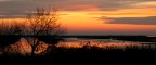 Altra foto della seria alba in laguna. Primo esperimento di uscita fotografica per catturare i colori dell'alba a ridosso della laguna veneziana.
ISO 100
55mm
f/16
1/5 sec

Ovviamente ogni suggerimento o critica  il benvenuto.