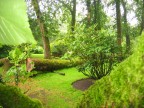 foto di un giardino d'Irlanda