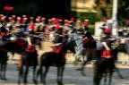 Il Carosello dell'Arma rievoca la storica carica dei carabinieri a Pastrengo effettuata il 30 aprile del 1848, con la quale decisero le sorti della battaglia.

Prova panning
canon 40d
Iso 250
70-200 f4 is a 121 mm
f/18
1/50

Critiche e commenti sempre ben accetti
Ciao 
Riccardo