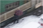 L'inverno scorso dal balcone di casa al quinto piano, con il 200 e un tempo lento