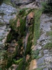 Osservando la roccia della cascatella nel parco "Le cascatelle" a Castello Tesino