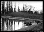 Pozza d'acqua piovana, area in bonifica della ex-polifosfati di Portogruaro.