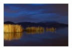 Lago di Massaciuccoli 2