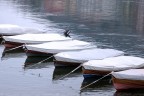 Una fredda e sonnolenta mattina sul lago ed anche le barche sembravano dormire