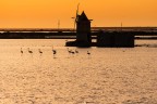 Saline di Trapani