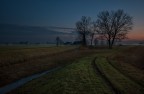 di passaggio con l'auto ho visto la nebbia
che avvolgeva il paesaggio salendo dai 
campi e dalla roggia, una corsa per prendere
zaino, treppiede e tornare, 10 minuti 
ma l'effetto era gi svanito.
Questo  il palcoscenico ma la protagonista
se n' andata.