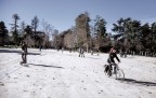 MI ha colpito moltissimo come l'immagine risulti "tesa" lungo le linee prospettiche dal movimento dell'uomo col cane da un lato e da quello della ragazza in bici dall'altro . Ma probabilmente lo vedo solo io!:)