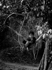 Questo bambino si faceva cullare tra le radici pendeti di un albero  della giungla.
Non parlava Inglese ma solo Khmer.
Lo vidi, gli scattai una foto e mi disse "kniom pum" - "amico mio" - "pi doolar" "due dollari", gli sorrisi e gli risposi "kniom pum, kniom tao gnam bai" "amico sto andando a mangiare", mi sorrise e dietro mi me un altro tizio gli scatt una foto e gli urlo "kniom pum pi doolar!"....