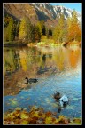 Lago di Cei in autunno. 
novembre 2005
D70 + 18-70 dx