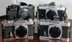 Nikon D300, Nikkor Afd 28-105mm/f3.5-4.5@55mm, f10, 1/250, 200 ISO