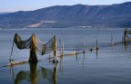 Impianto di piscicoltura sul Lago di Varano, Foggia - Puglia