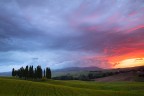 Hell is Coming - San Quirico D'Orcia