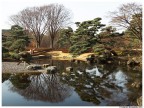 Dopo giorni passati a vagare per Tokyo a piedi dalla mattina alla sera il peso della 7D pi due lenti era diventato insopportabile...
Esco con solo la compatta in tasca, e scatto la mia foto preferita del viaggio. E' proprio vero che la macchina migliore  quella che hai con te.