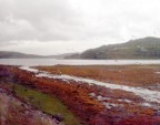 Island of Mull, Scotland
2013