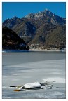Pedal incagliato nel ghiaccio.

Da 80 anni il lago di Ledro (TN) non ghiacciava. Oggi.. giornata bellissima e non troppo fredda. Il ghiaccio cominciava a cedere.. ma l'atmosfera in Val di Ledro era magnifica. 

Foto scattata con D70 e 18-70Dx
Polarizzata

Vi piace??

Grazie

:-) Zila



Il pedal
