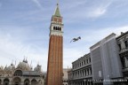 Scorcio di Venezia, un gabbiamo a San Marco