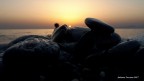 un controluce mostra in primo piano un cumuletto di ciottoli in riva al mare da pochi istanti bagnati da un'onda mentre il sole che tramonta spicca tra di essi.