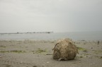 Metto una foto fatta oggi passeggiando in riva al mare in una giornata piovosa. Ho visto questo pallone distrutto e mi ha dato l'impressione dell'estate finita. Cosa ne pensate della composizione ? Sono riuscito a trasmettre la mia sensazione ? Grazie