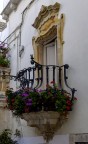 Splendida porta finestra barocca a Martina Franca (TA). 
Peccato che anche per questa non  stato potuto riprenderla meglio perch si affaccia su una stretta stradina del centro storico