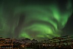 Isole Lofoten