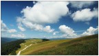 Presso "Malga Montagna nuova di dietro". Luglio 2018