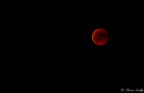 ed ecco anche la mia proposta, prima volta che ho provato a fotografare la luna con alcune difficolt inerenti la messa a fuoco...