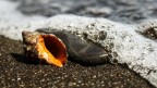 Playa quemada.
Creata dall'incontro tra la forza dell'oceano e della Terra, questa spiaggia  nera;  cenere.