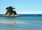 Tasman bay