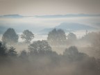 Colori delicati del mattino