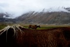 Castelluccio 2018