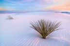 Deserto di White Sands in New Mexico, USA.