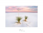 Deserto di White Sands, New Mexico, USA.