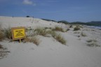 Spiaggia delle dune, Porto Pino in Sardegna. 2004