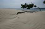 Spiaggia delle dune, Porto Pino in Sardegna. 2004