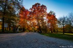 Entrata Parco di Monza